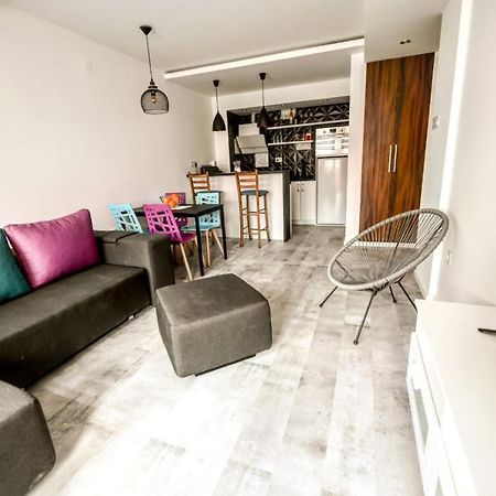 Chill Out Apartment Novi Sad Eksteriør billede